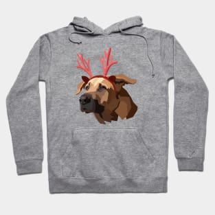 Polygon Xmas Dog Hoodie